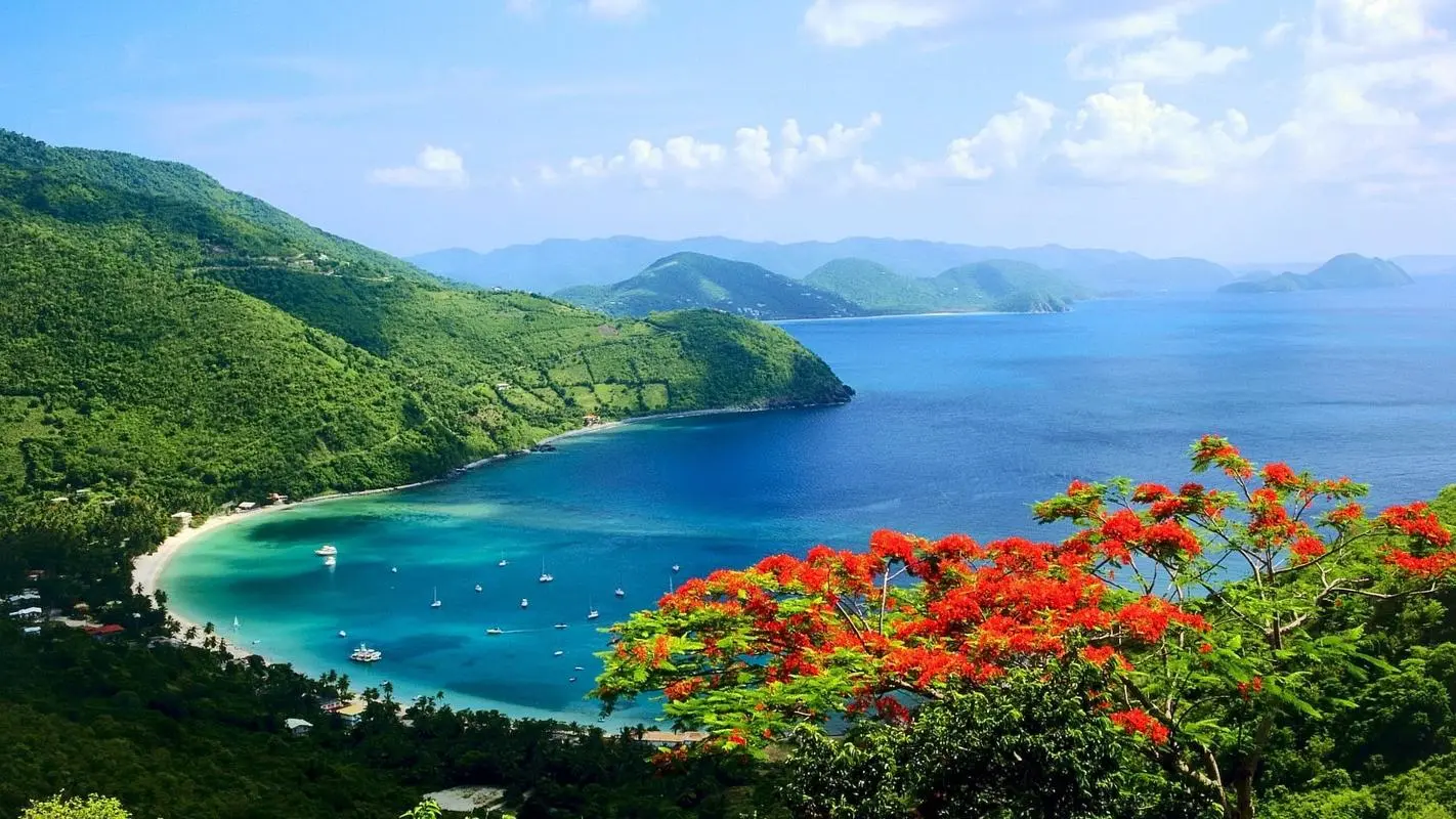 全自动高效精密